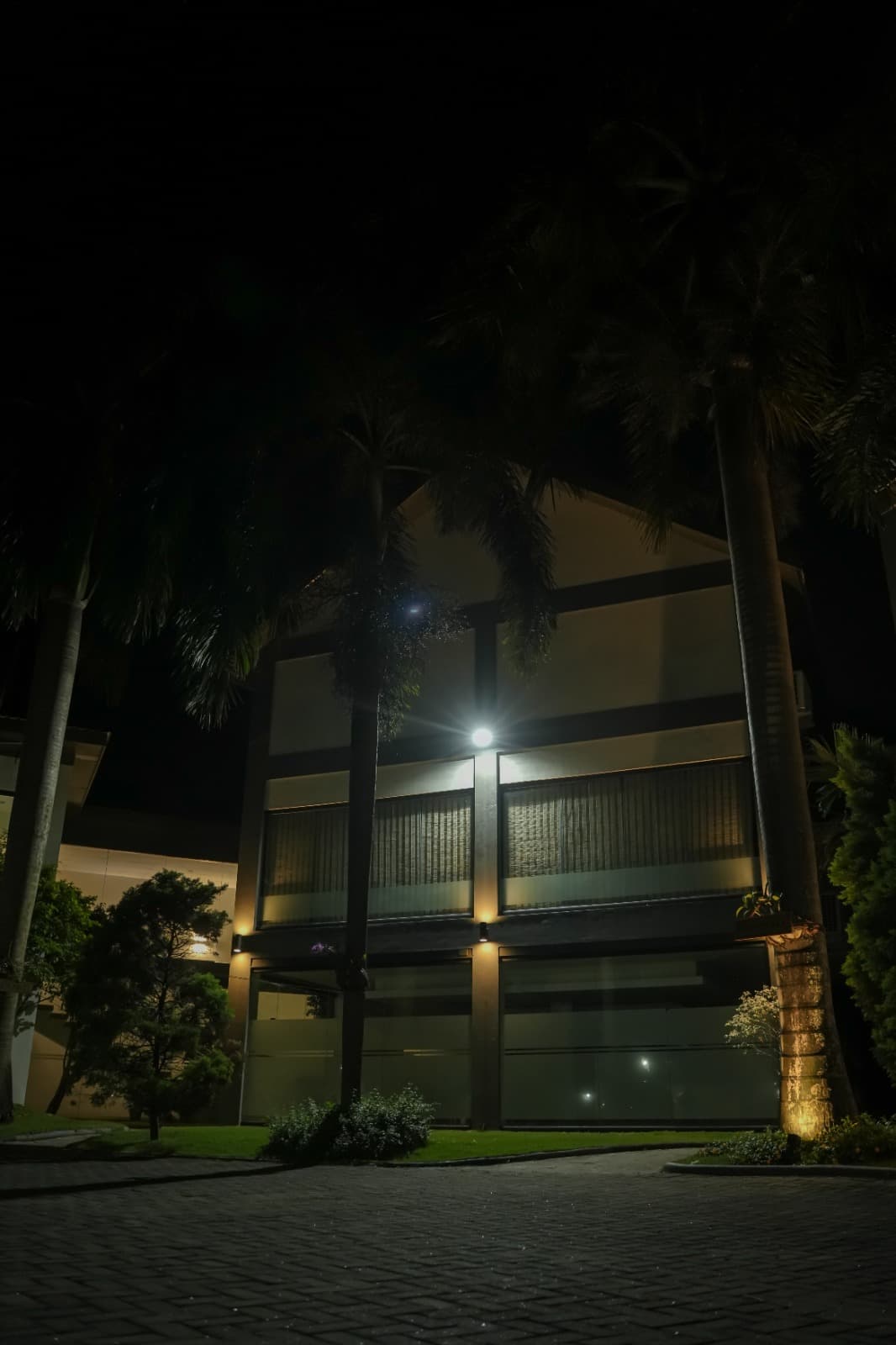 Night Facade & Palms
